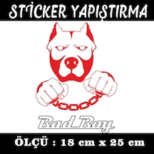Pitbull Köpek Kelepçeli Kötü Çoçuk Sticker Setiket Seti