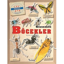 Gizemleri Öğrenelim - Böcekler - Rxlu-597853