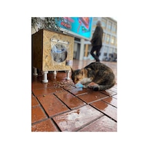 Kedi Evi Kedi Yuvası Kedi Yatağı- Demonte Olarak Gönderilir-ısı Ve Su Yalıtımlı-36x33x30cm