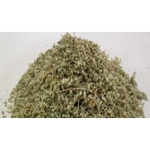 Dvd Lokman Aktar Yavşan 40 G