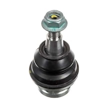 Bsg Rotıl Alt 115 286 - A8 10-