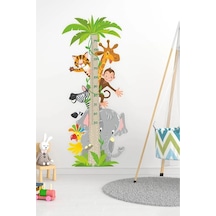 Sevimli Hayvanlar Boy Ölçer Sticker Seti Kendinden Yapışkanlı Panda Sokağı