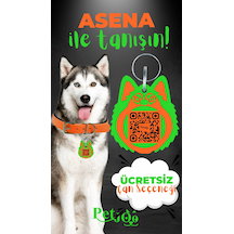 Turuncu