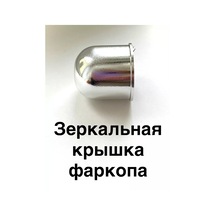 Plastik Evrensel Aynalı Çekiş Demiri Kapağı 206654719