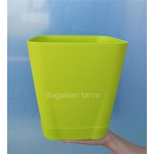 8,8 Lt Fıstık Yeşili Renk Safir Saksı Kare Saksı Dekoratif Saksı