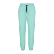 Mint Yeşili