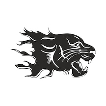 Aslan 11 Folyo Sticker 70cm Uzunluk Siyah
