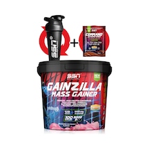 SSN Sports Style Nutrition Gainzilla Mass Gainer 5000 g (Çilekli Dondurma)