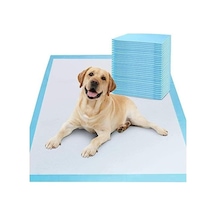 Evcil Hayvan Pedi, Kedi Köpek Pedi, Emici, 60x90