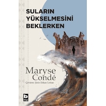 Suların Yükselmesini Beklerken Bilgi Yayınevi