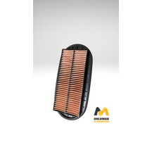Weraus Wfa98991 İç Hava Filtresi
