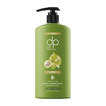 Dp Daily Perfection Moringa Şampuan 425 Ml - 6 Adet Tarı