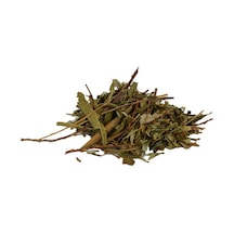 Söğüt Yaprağı Doğal 100 Gr Paket