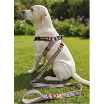 Köpek Göğüs Tasması Ayarlanabilir Ve Gezdirme Kayışı 2'li Set Büyük Irk Çok Renkli
