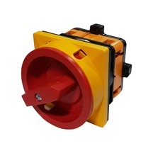 Opaş 1x25A Kilitli Açma Kapama Şalter YKL101 025
