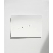 Çerçevesiz Poster Gökyüzünde Özgürlük