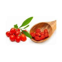Süper Paket 250 Adet Tohum İthal Goji Berry Tohumu Gojiberry Goji