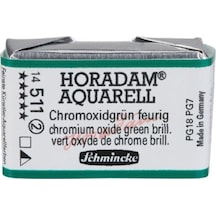 Schmincke Horadam Aquarell Artist Sulu Boya Chromium Oxide Green Brilliant Yarım Tablet