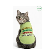 Yeşil Superstar Yazılı Kedi Ve Köpek Kıyafeti Tişörtü Elbisesi Large/l/beden 3