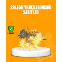 Çok Renkli