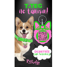 Petjoo 15.T.Teg Pembe-Yeşil Qr'lı Köpek Künyesi