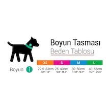 Raınbow Boyun Tasması Altın
