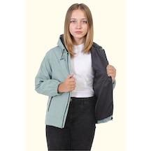 Mint Yeşili