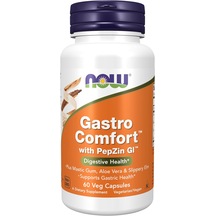 Now Gastro Comfort Mastic Gum Aloe Vera Slippery Elm Gastric Heal