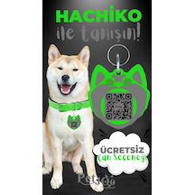 Petjoo 19.Hachiko Gri-Yeşil Qr'lı Köpek Künyesi