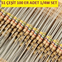 Direnç Seti 1/4W Çeyrek Watt Karbon 51 Çeşit 100 Er Adet