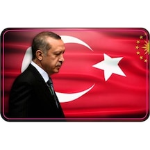 Cg Reis Far Filmi Çok Renkli
