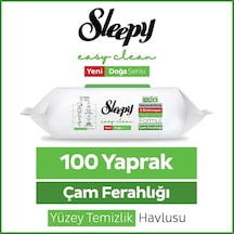 Sleepy Yüzey Temizleyici Mendil 100'lü Çam Ferahlığı 24'li Paket 24'lü Set