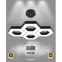 Stella Siyah Kasa, Beyaz Işık Modern Sarkıt Led Avize Siyah