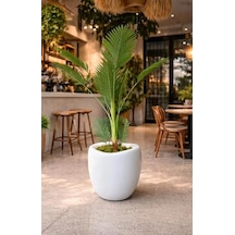Plastik Modern Saksı, İç Ve Dış Mekan, 42x45 Cm, Beyaz, Yuvarlak, 25.5 L Diğer