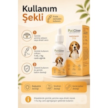 Patiglow Köpek Multivitamin Damla