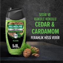 Men Duş Jeli 250 Ml Cedarwood Diğer