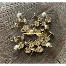 Dmr Kabara Raptiye Koltuk Çivisi Parlak Sarı Düz Çap 9,5mm 100adet