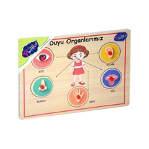 Mey İthalat 166/167 Onyıl, Ahşap Tutmalı Organlar
