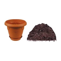 Nadir Vietnam Kabak Tohumu Ekim Seti 3 Tohum +Saksı+Toprak+