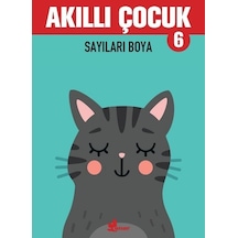 Akıllı Çocuk - Sayıları Boya- Çınar Yayınları