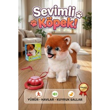 Beyaz - Kahverengi