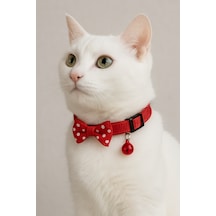 Mıt Kedi Boyun Tasması Papyonlu