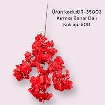 Bahar Dalı Tekdal Kırmızı