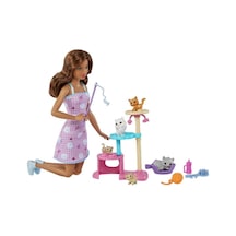 Barbie ve Yavru Kedileri Oyun Seti  HHB70