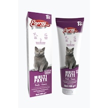 Energy Yetişkin Kedi Multi Paste - 100 G