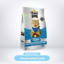 Happy Kısırlaştırılmış Somonlu Kuru Kedi Maması 1500 G