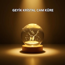 Hubrendy Kargo Usb Bağlantılı Geyik Temalı Kristal Küre Premium Masa Gece Lambası Diğer