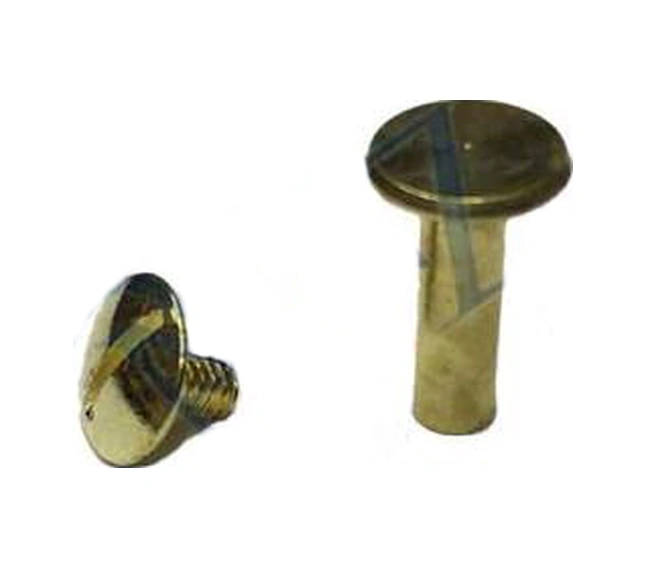 Cilt Menü, Katalog, Kartela Vidası, 13mm - Sarı, 100 Adet 0.2 MM