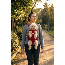 Kedi Ve Köpekler İçin Anakucağı M 5976
