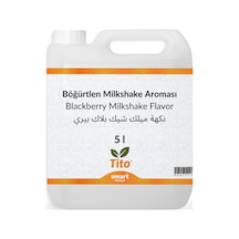 Böğürtlen Milkshake Aroması 5 Litre